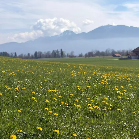 Apartment Mit Alpenblick *