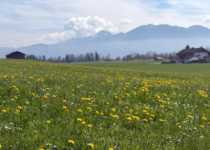 Apartment Mit Alpenblick *